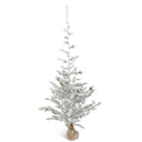 6' PINE TREE IN SACK