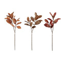 MAGNOLIA LEAF SPRAY