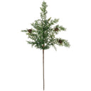 CYPRESS SPRAY