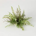 FERN/TWIG 1/2 ORB