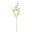 34 Inch Yellow Eucalyptus Stem