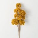 YARROW SPRAY