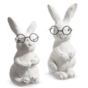 8" RABBIT WITH GLASSES