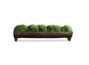 Moss Ball Centerpiece