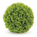 COMMON BOX ORB