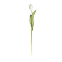 TULIP STEM WHITE