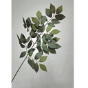 SAKAKIT STEM
