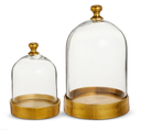 Cloche with Base