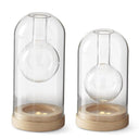 Clear Glass LED Cloche Bud Vases w/Timer LRG