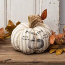 Stripe Pumpkin with Jute Stem