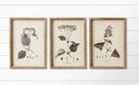 LEAFY FRAMED ART-INDIVIDUAL