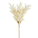 Dried pampas grass bundle