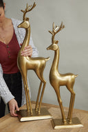 Vixen Reindeer